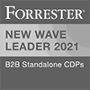 Forrester New Wave Leader 2021 Badge