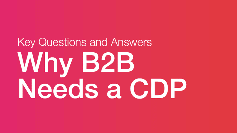 Why B2B Needs a CDP