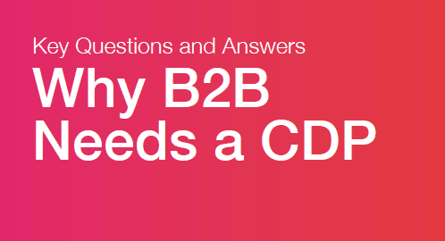 Why B2B needs a CDP