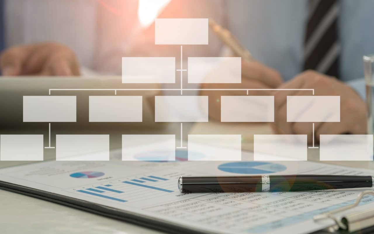 Leadspace company hierarchy